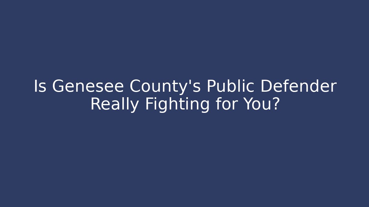 Is Genesee County's Public Defender Really Fighting for You? - V Auction