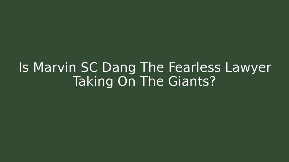 Is Marvin SC Dang The Fearless Lawyer Taking On The Giants?