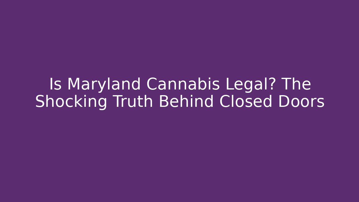 Is Maryland Cannabis Legal? The Shocking Truth Behind Closed Doors