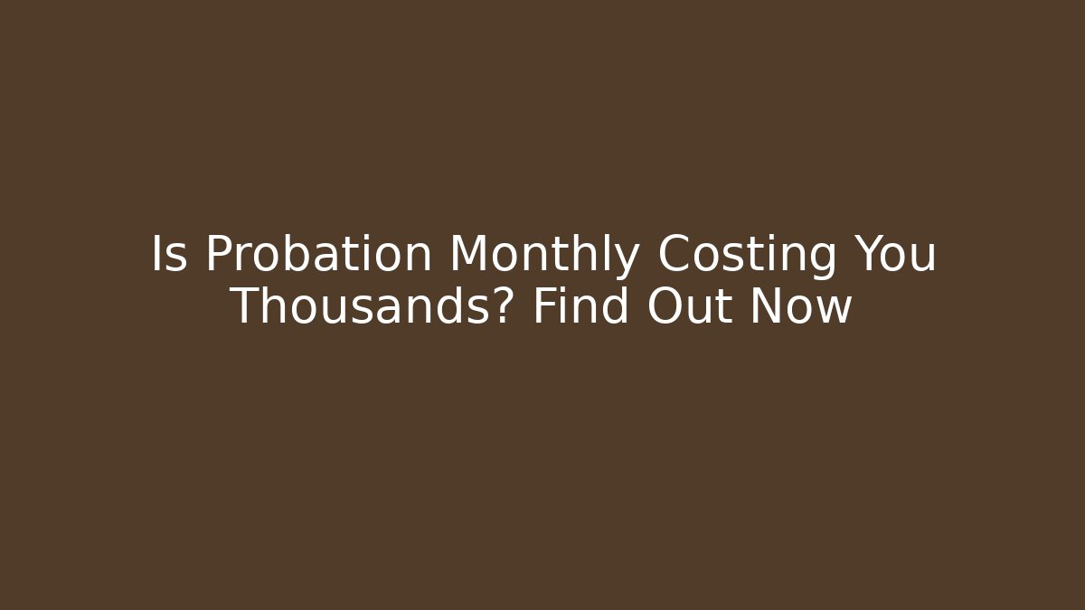 Is Probation Monthly Costing You Thousands? Find Out Now - V Auction