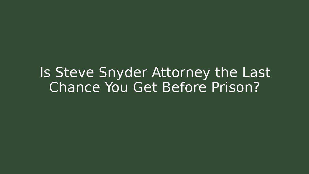 Is Steve Snyder Attorney the Last Chance You Get Before Prison?