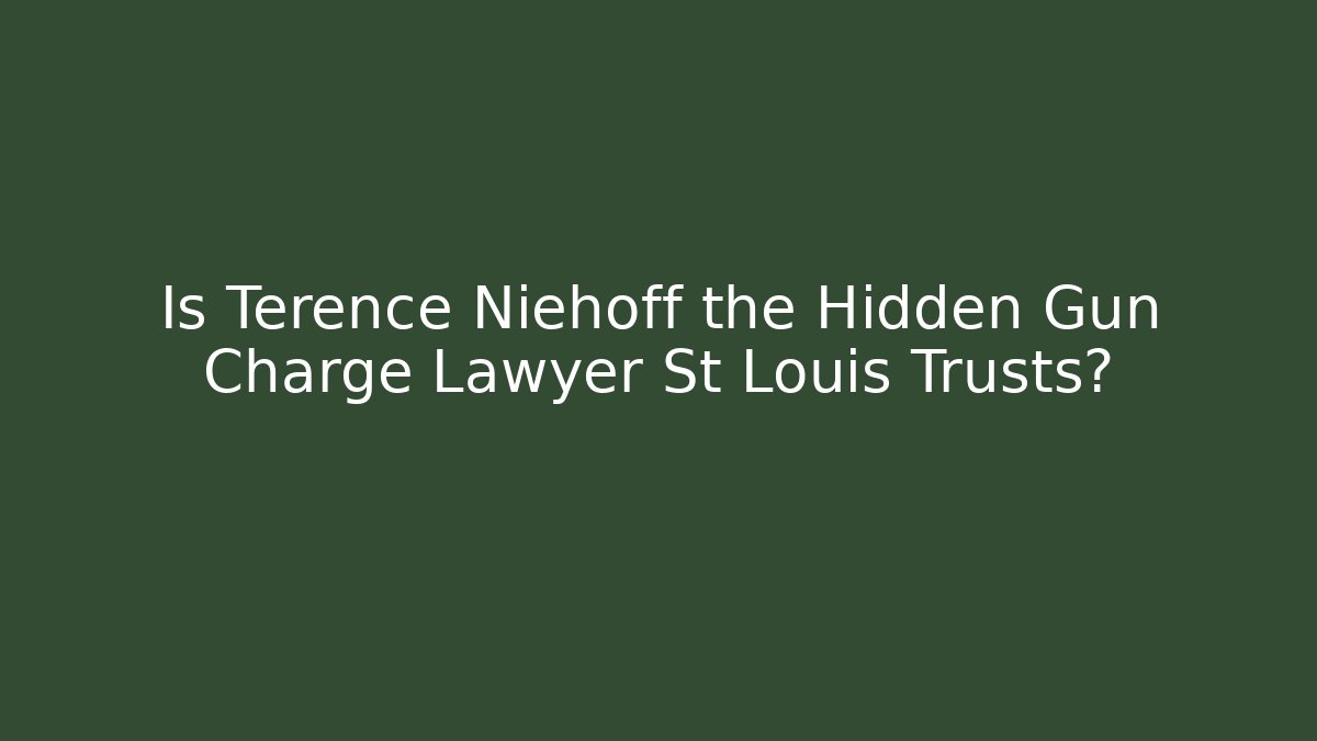 Is Terence Niehoff the Hidden Gun Charge Lawyer St Louis Trusts?