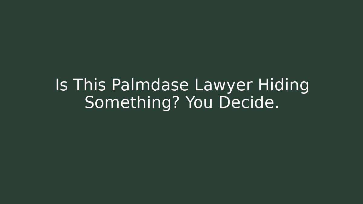Is This Palmdase Lawyer Hiding Something? You Decide.