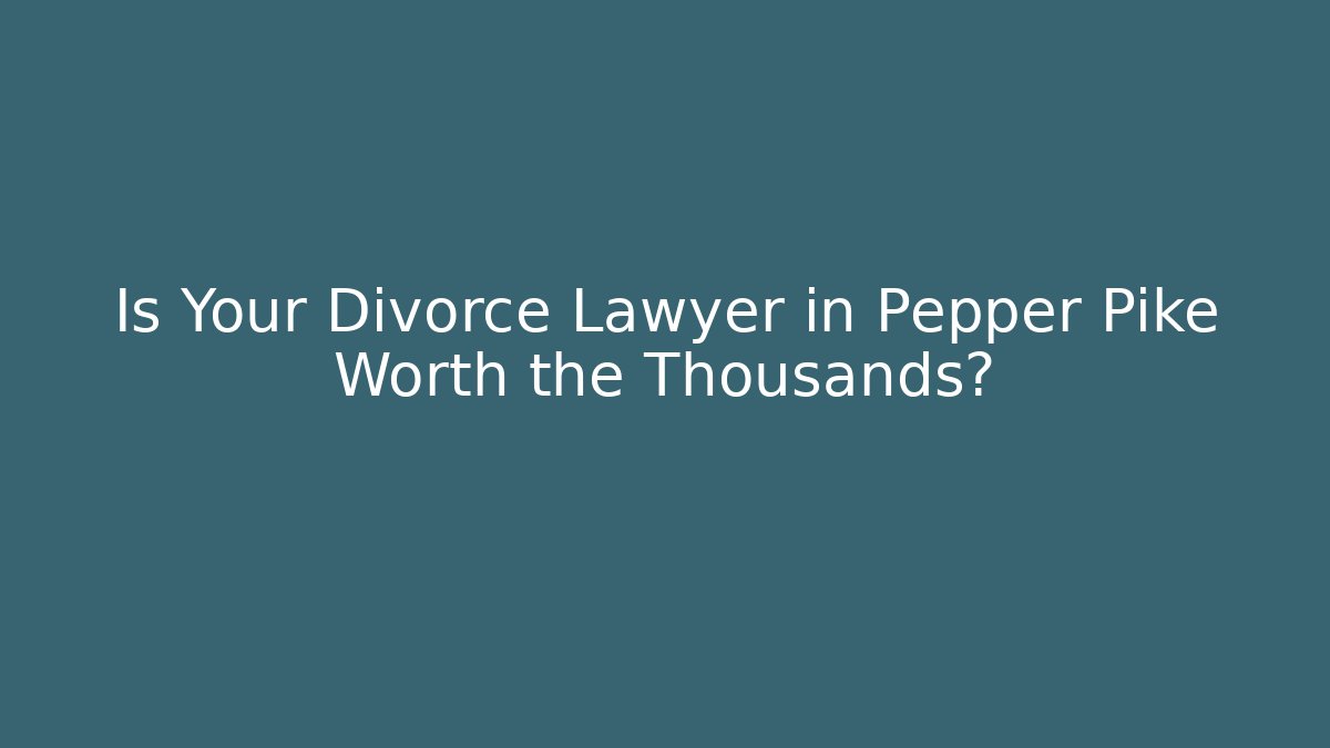 Is Your Divorce Lawyer in Pepper Pike Worth the Thousands? - V Auction