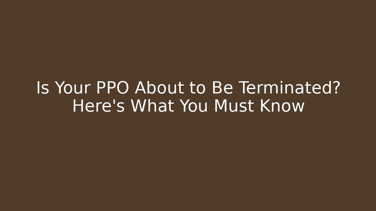 Is Your PPO About to Be Terminated? Here’s What You Must Know - V Auction