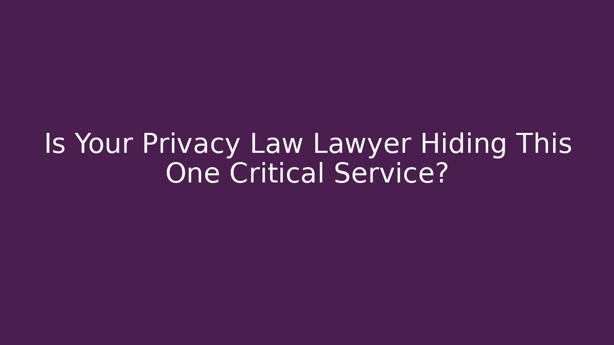 Is Your Privacy Law Lawyer Hiding This One Critical Service?