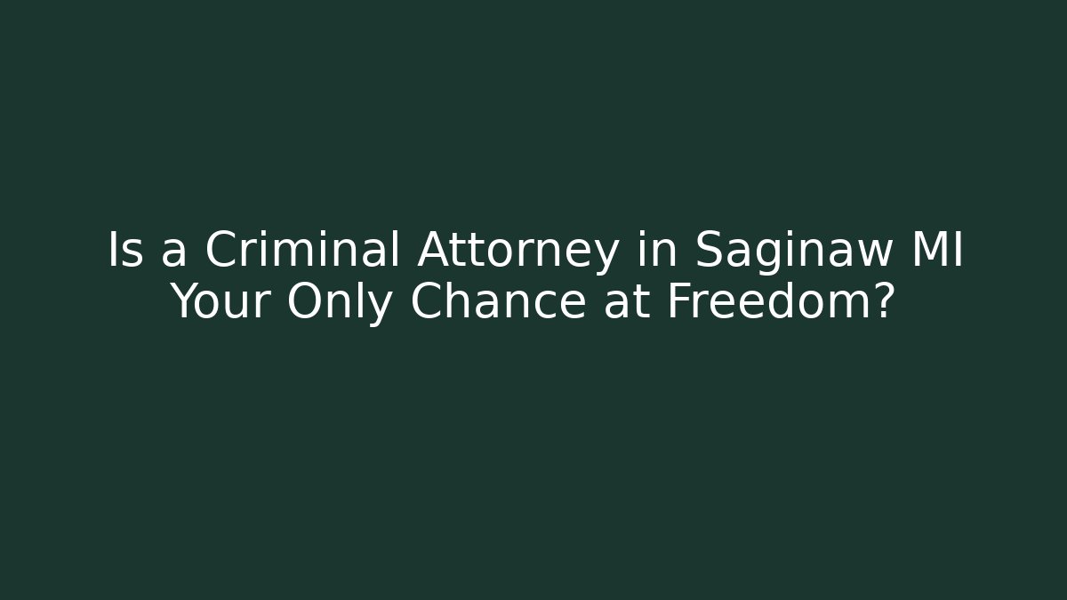 Is a Criminal Attorney in Saginaw MI Your Only Chance at Freedom?
