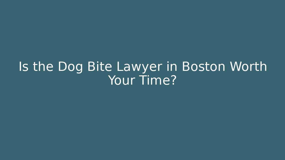Is the Dog Bite Lawyer in Boston Worth Your Time?