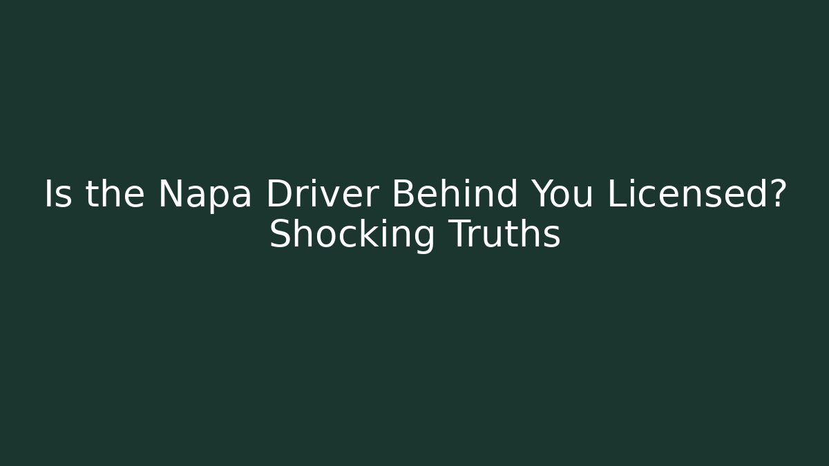 Is the Napa Driver Behind You Licensed? Shocking Truths - V Auction