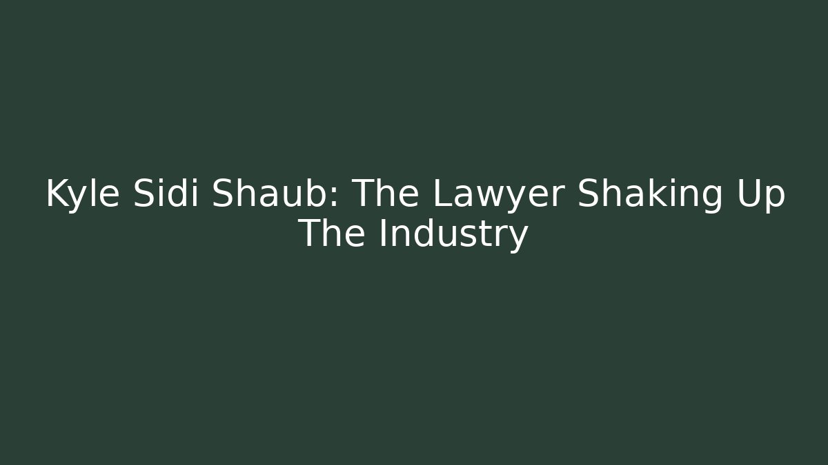 Kyle Sidi Shaub: The Lawyer Shaking Up The Industry - V Auction