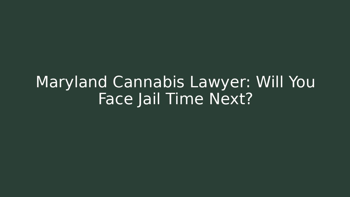Maryland Cannabis Lawyer: Will You Face Jail Time Next? - V Auction