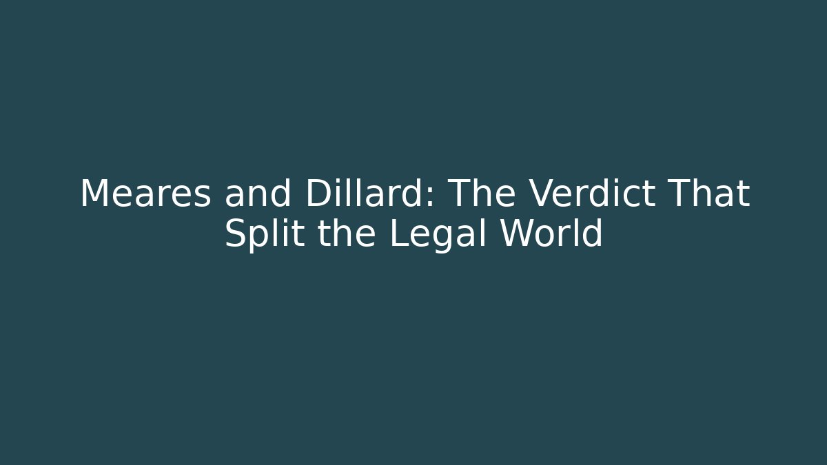 Meares and Dillard: The Verdict That Split the Legal World - V Auction