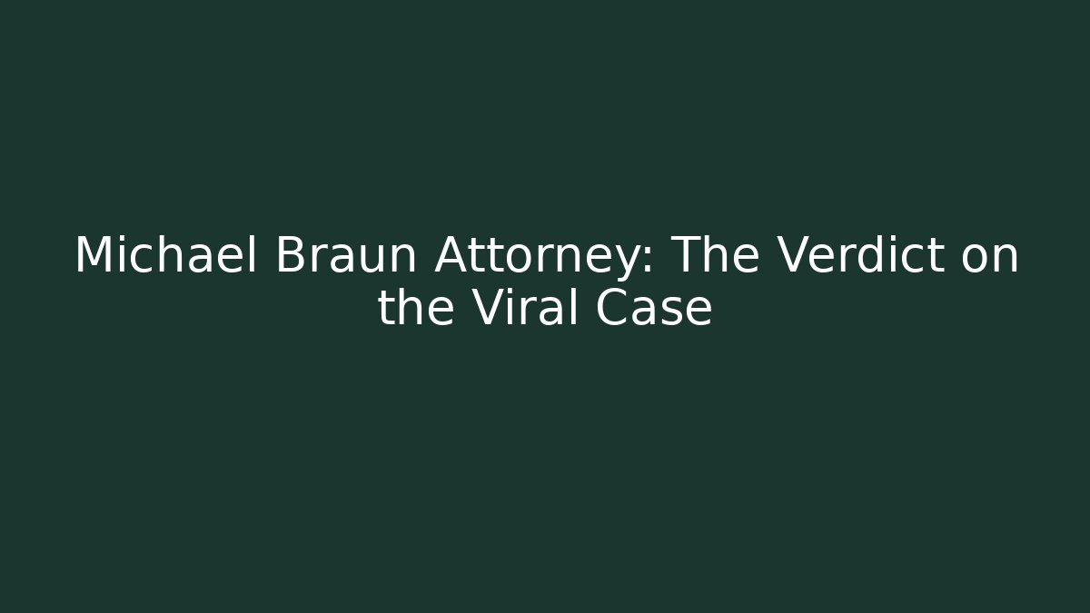Michael Braun Attorney: The Verdict on the Viral Case - V Auction
