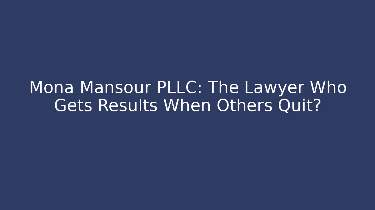Mona Mansour PLLC: The Lawyer Who Gets Results When Others Quit? - V Auction