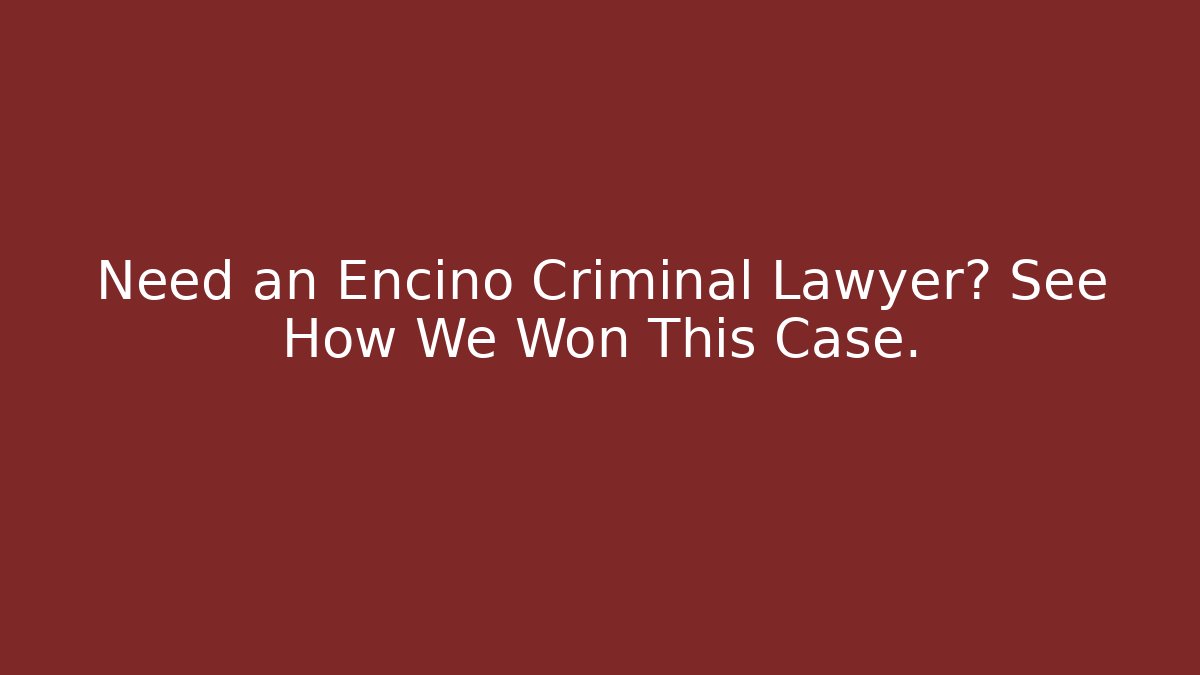 Need an Encino Criminal Lawyer? See How We Won This Case. - V Auction
