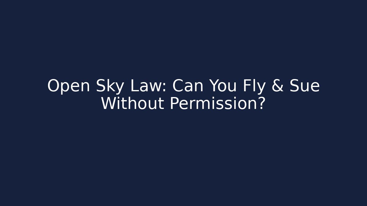 Open Sky Law: Can You Fly & Sue Without Permission?