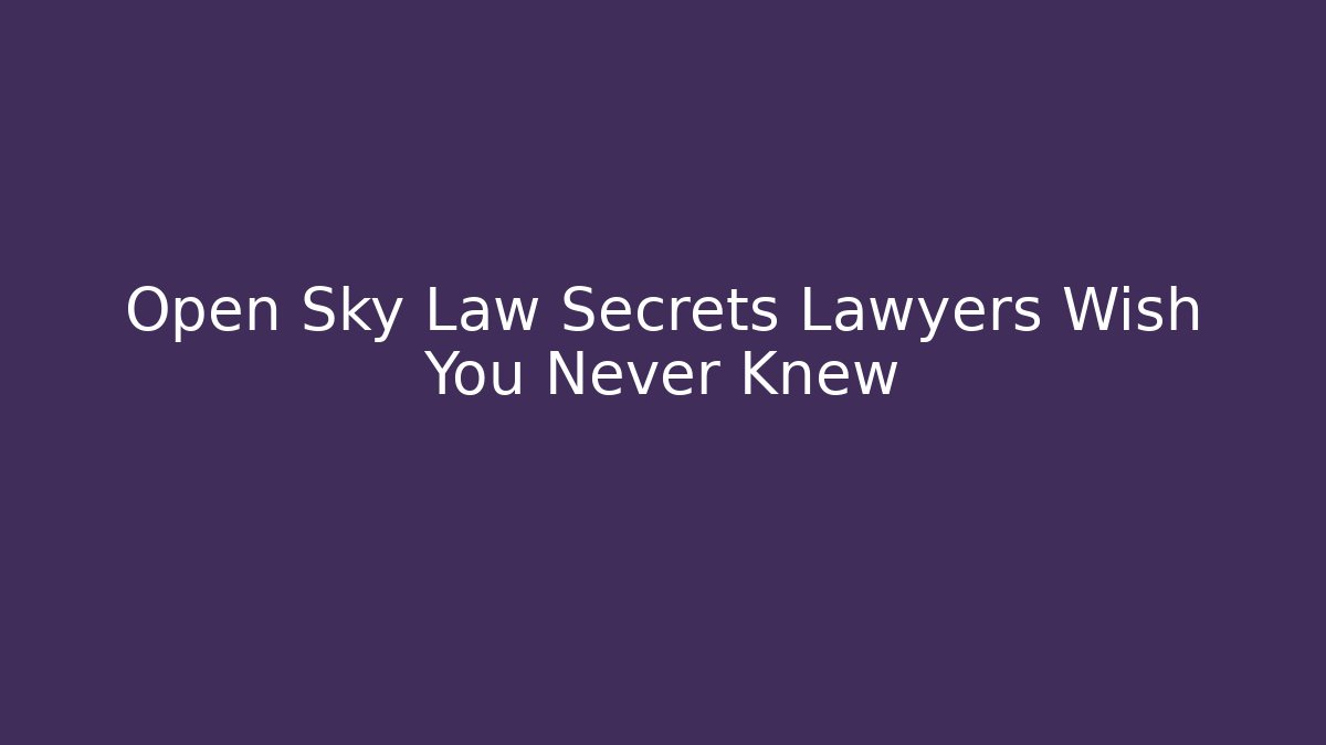 Open Sky Law Secrets Lawyers Wish You Never Knew - V Auction