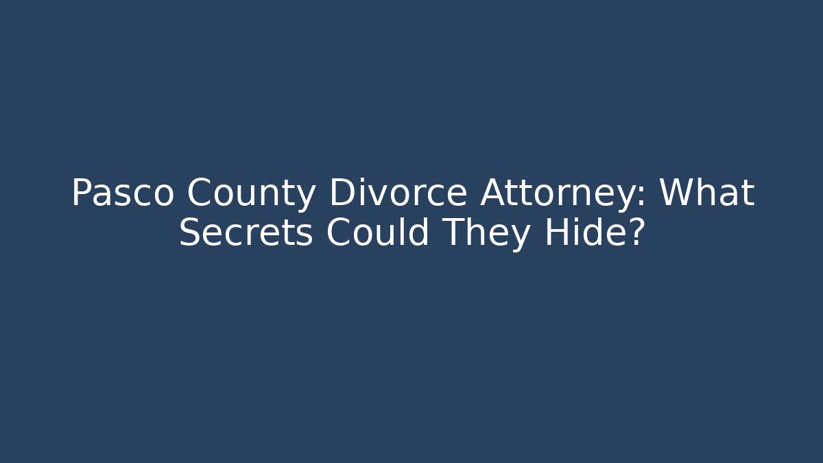 Pasco County Divorce Attorney: What Secrets Could They Hide? - V Auction