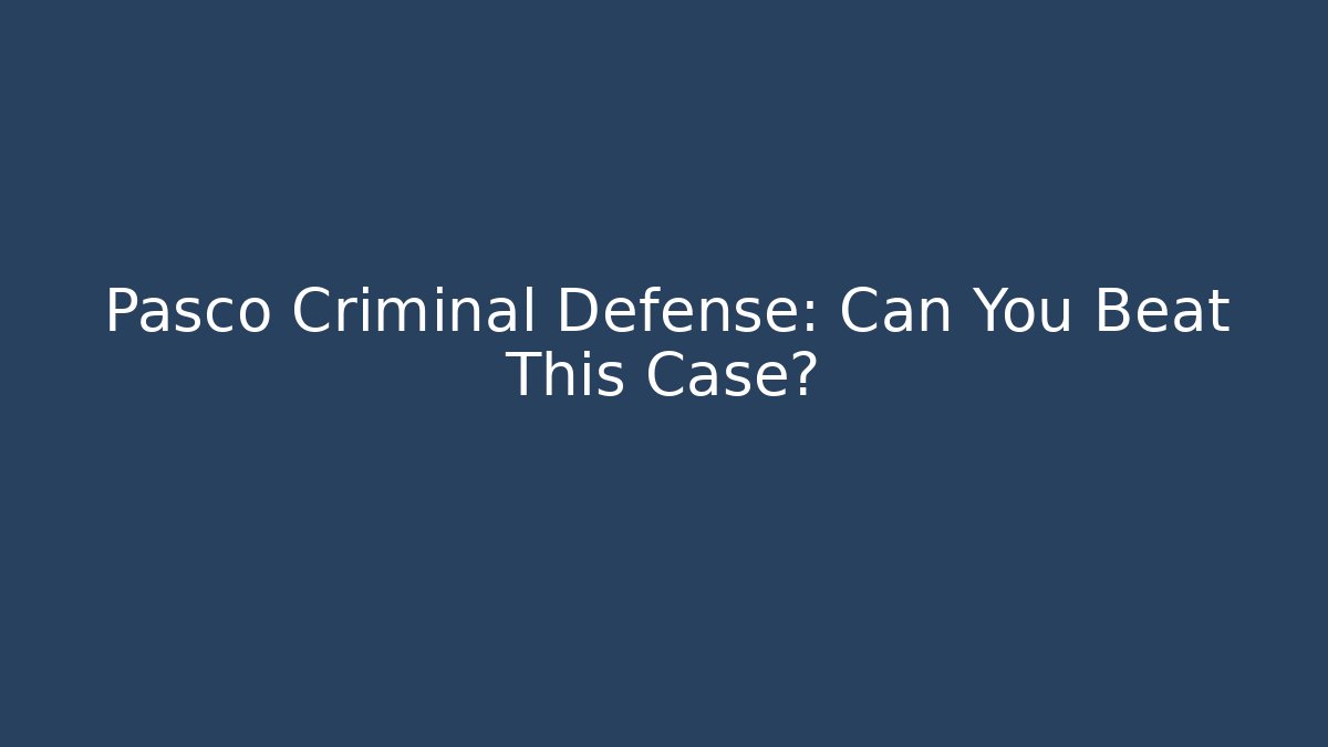 Pasco Criminal Defense: Can You Beat This Case? - V Auction