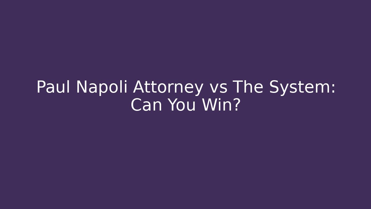 Paul Napoli Attorney vs The System: Can You Win? - V Auction