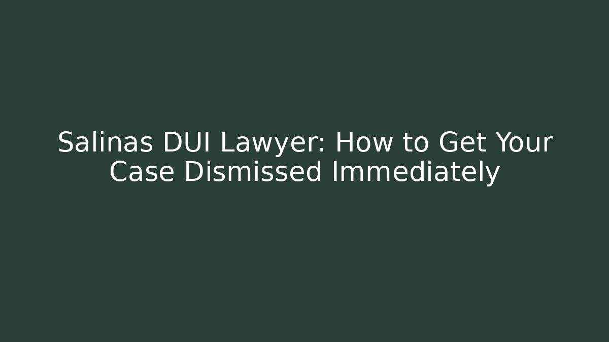 Salinas DUI Lawyer: How to Get Your Case Dismissed Immediately - V Auction
