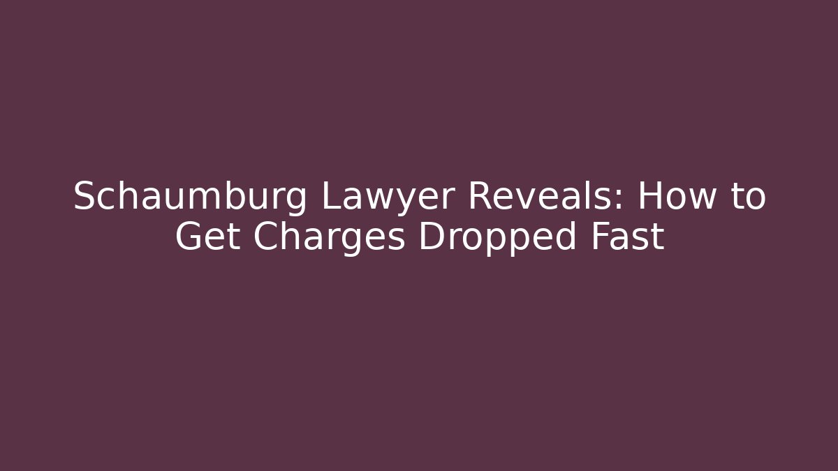Schaumburg Lawyer Reveals: How to Get Charges Dropped Fast