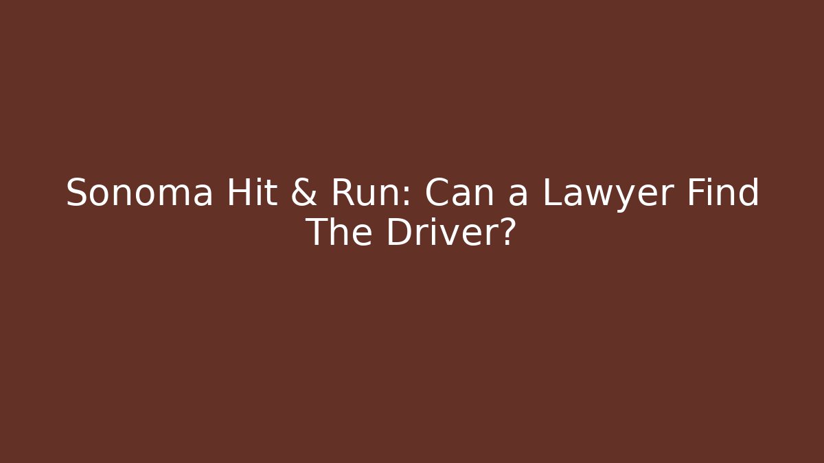 Sonoma Hit & Run: Can a Lawyer Find The Driver?