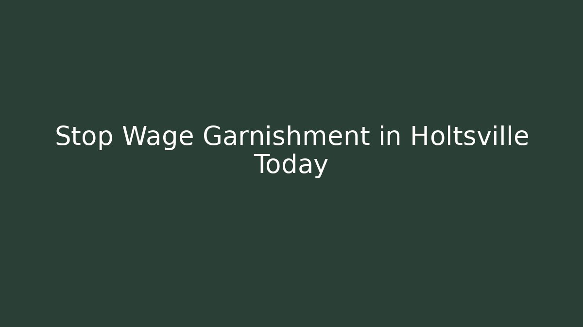 Stop Wage Garnishment in Holtsville Today - V Auction