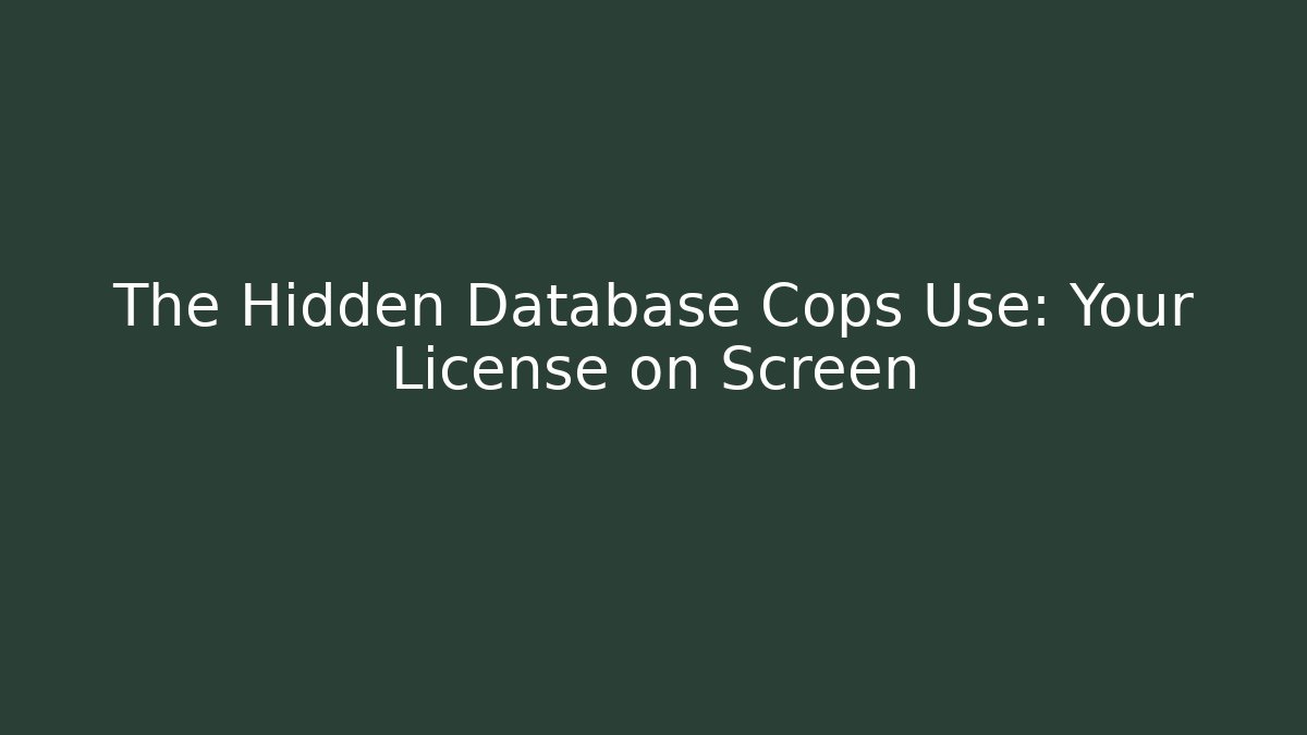 The Hidden Database Cops Use: Your License on Screen