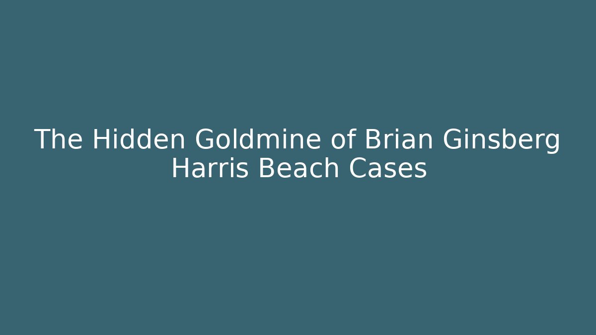 The Hidden Goldmine of Brian Ginsberg Harris Beach Cases - V Auction