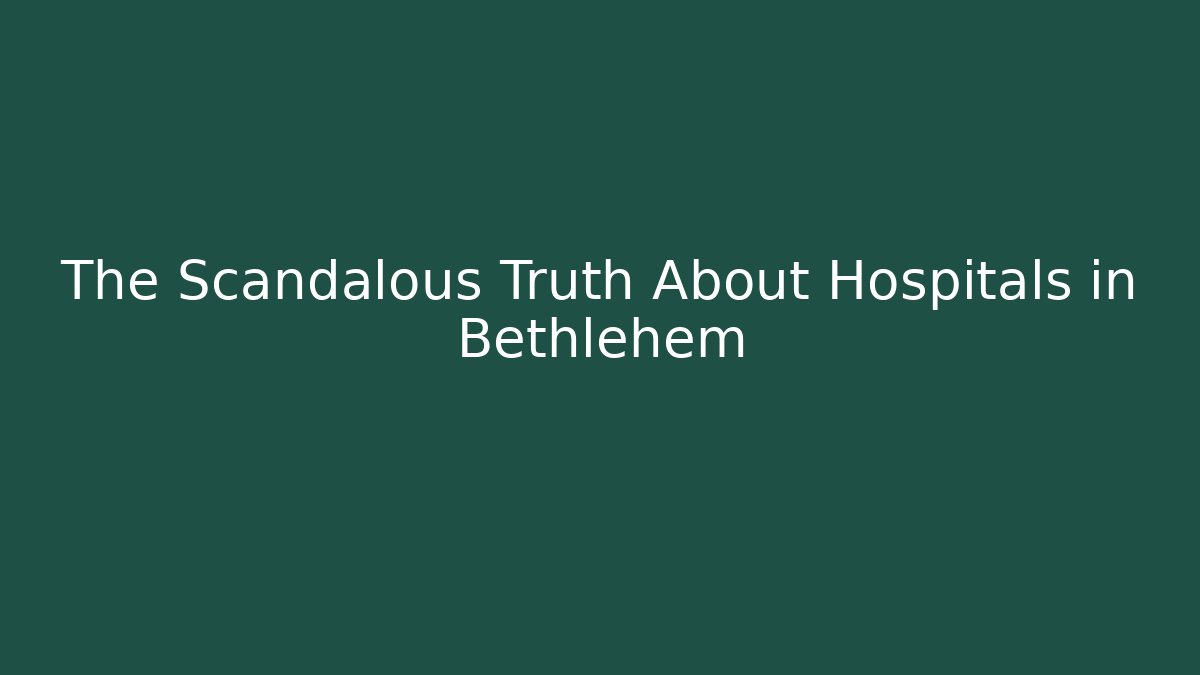 The Scandalous Truth About Hospitals in Bethlehem - V Auction