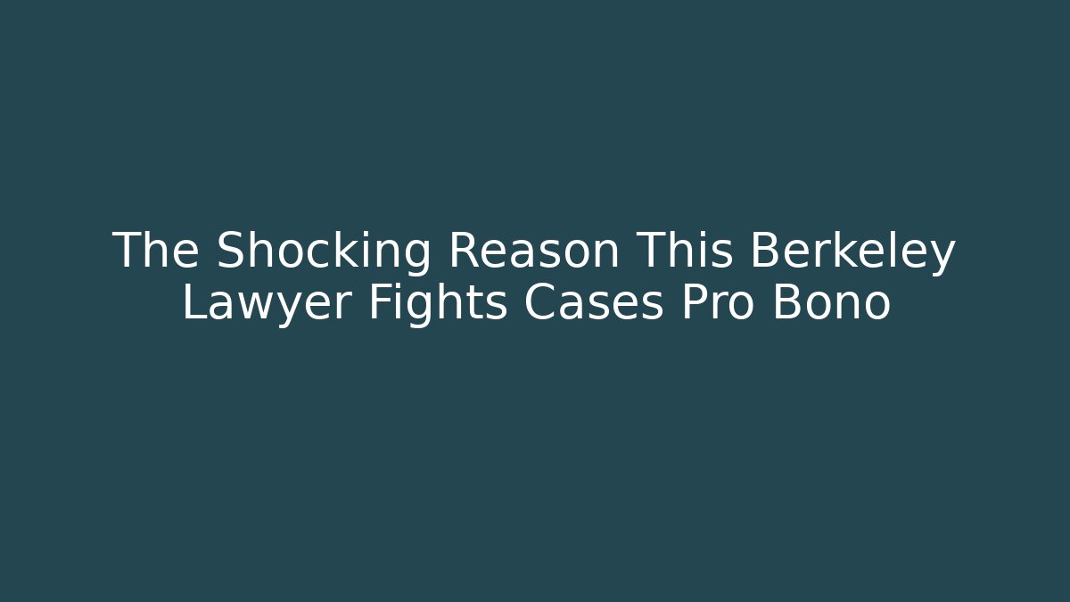 The Shocking Reason This Berkeley Lawyer Fights Cases Pro Bono - V Auction