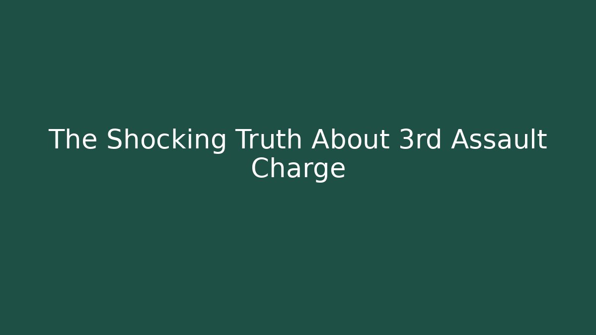The Shocking Truth About 3rd Assault Charge
