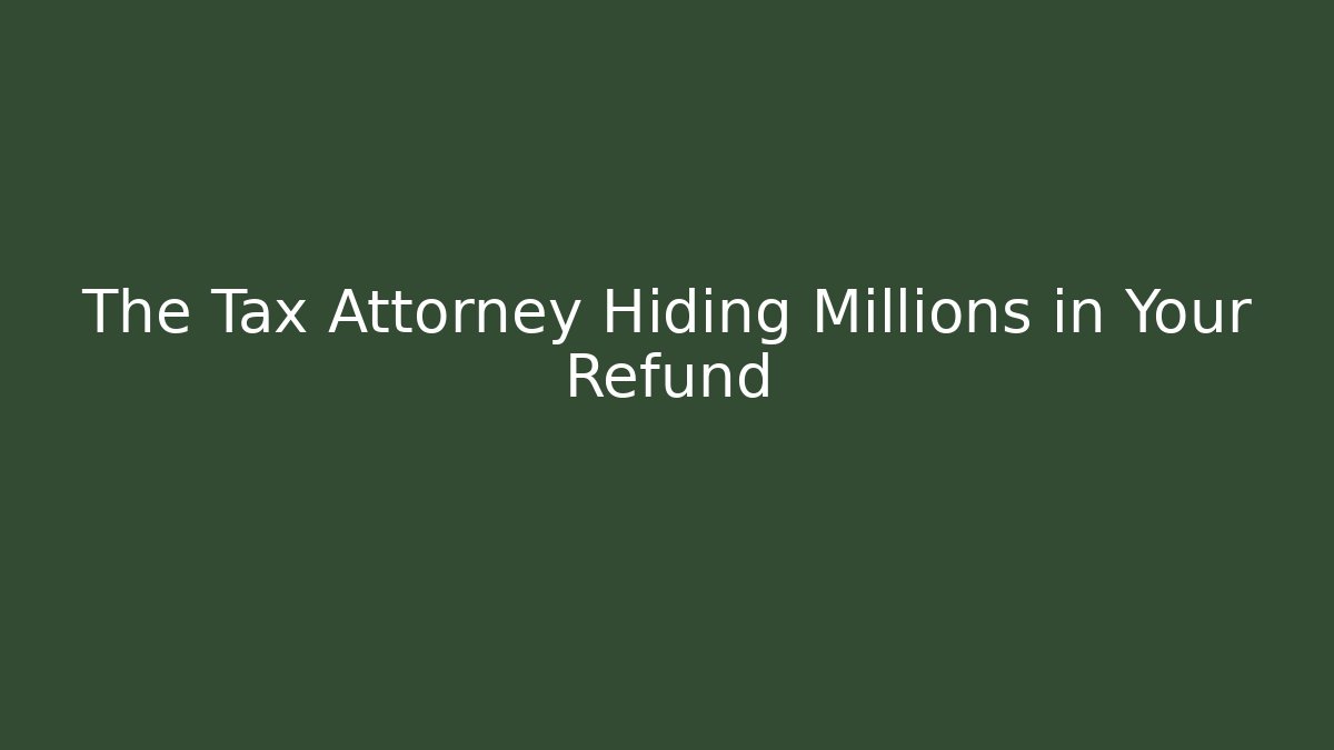 The Tax Attorney Hiding Millions in Your Refund - V Auction