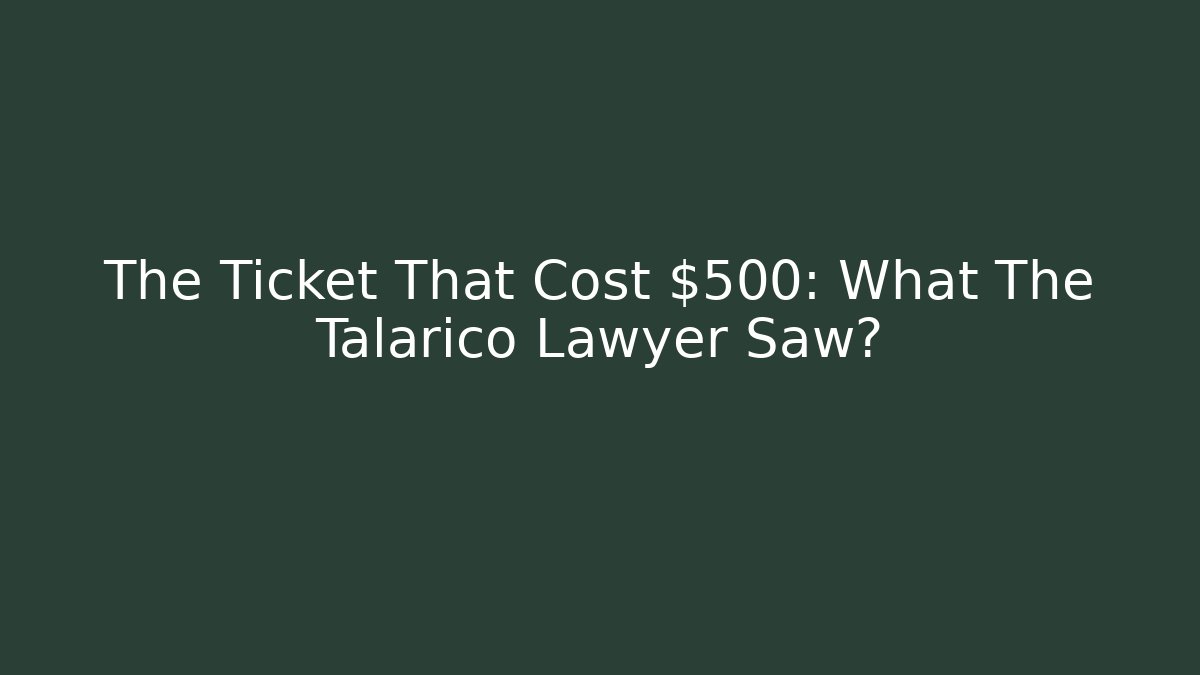 The Ticket That Cost $500: What The Talarico Lawyer Saw?