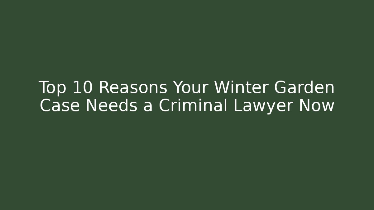 Top 10 Reasons Your Winter Garden Case Needs a Criminal Lawyer Now