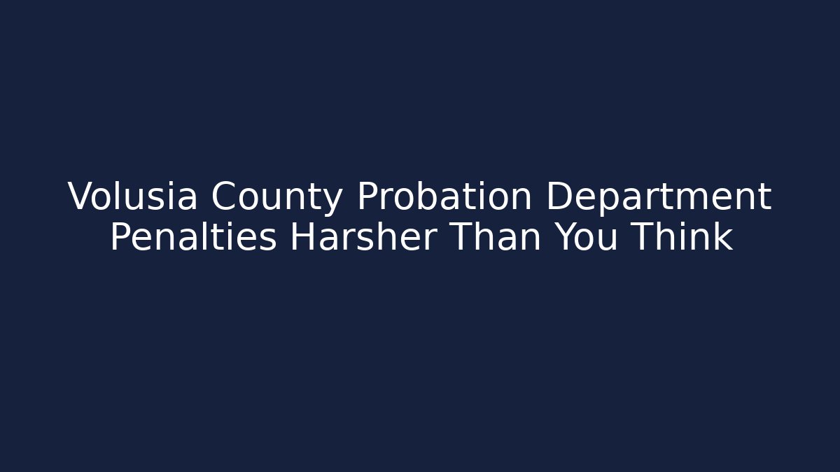 Volusia County Probation Department Penalties Harsher Than You Think - V Auction