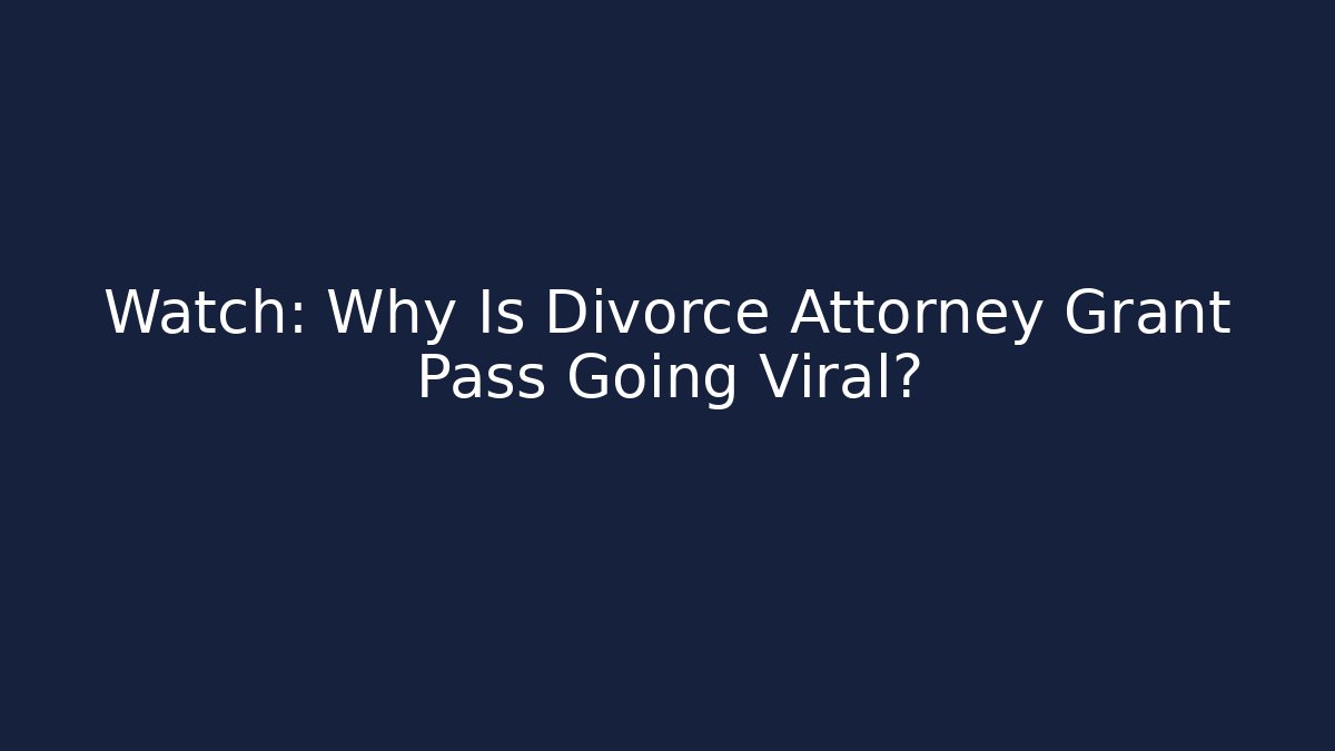 Watch: Why Is Divorce Attorney Grant Pass Going Viral? - V Auction