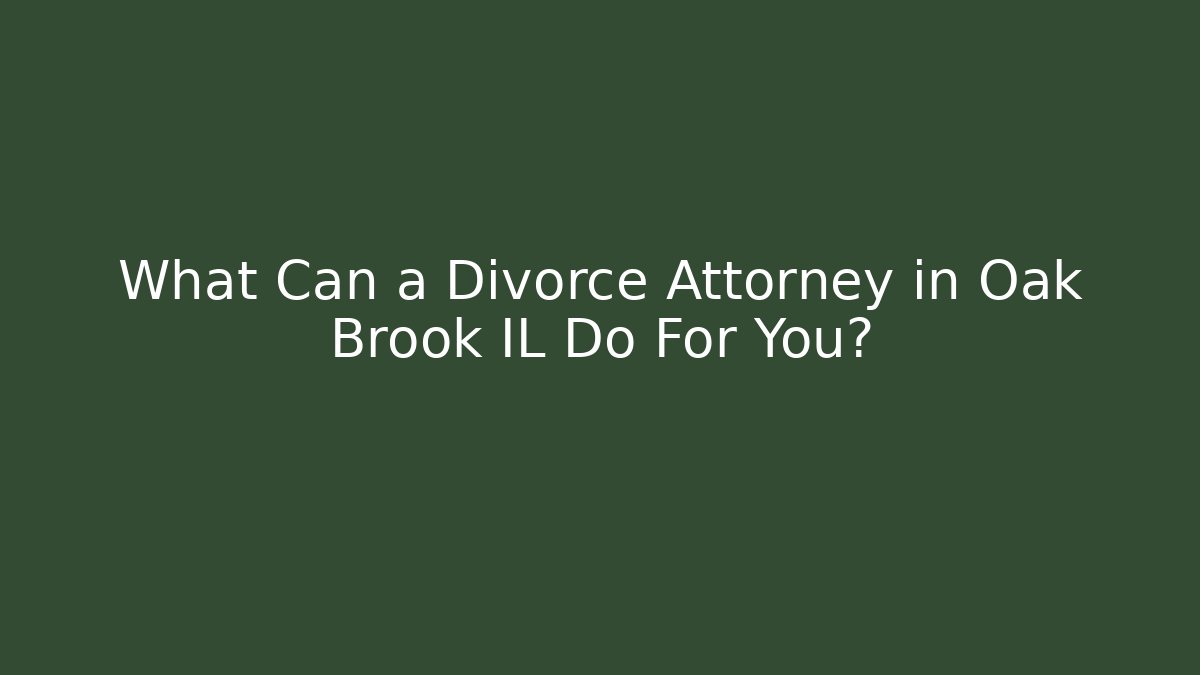 What Can a Divorce Attorney in Oak Brook IL Do For You? - V Auction