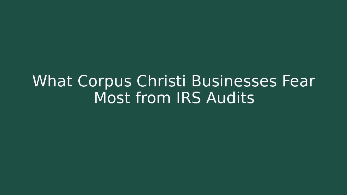 What Corpus Christi Businesses Fear Most from IRS Audits