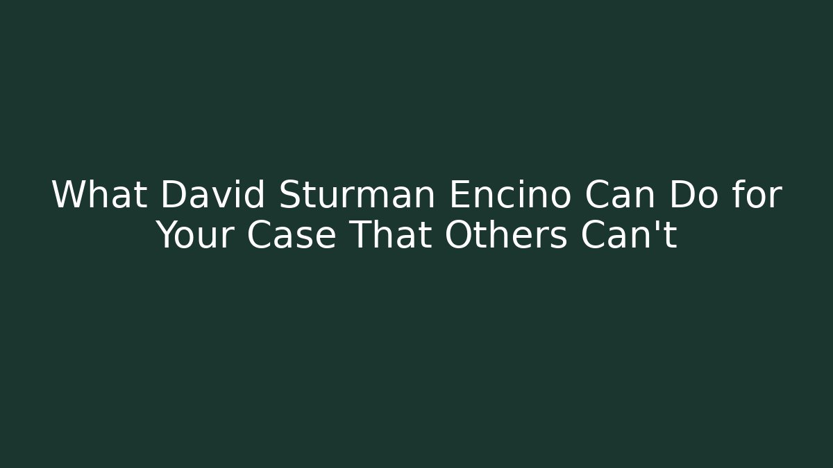 What David Sturman Encino Can Do for Your Case That Others Can’t - V Auction