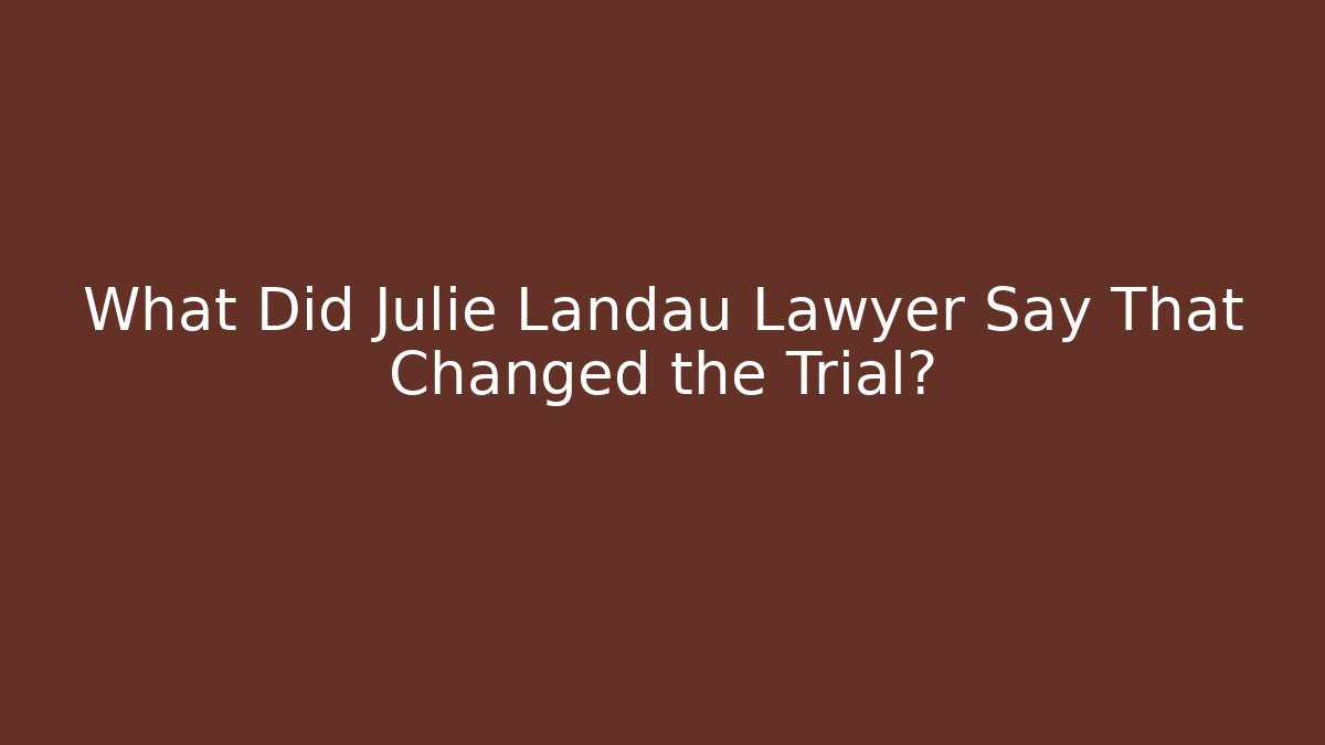 What Did Julie Landau Lawyer Say That Changed the Trial?