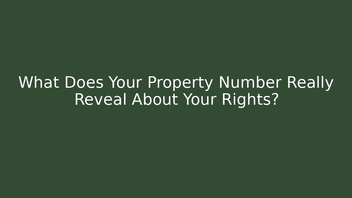 What Does Your Property Number Really Reveal About Your Rights? - V Auction