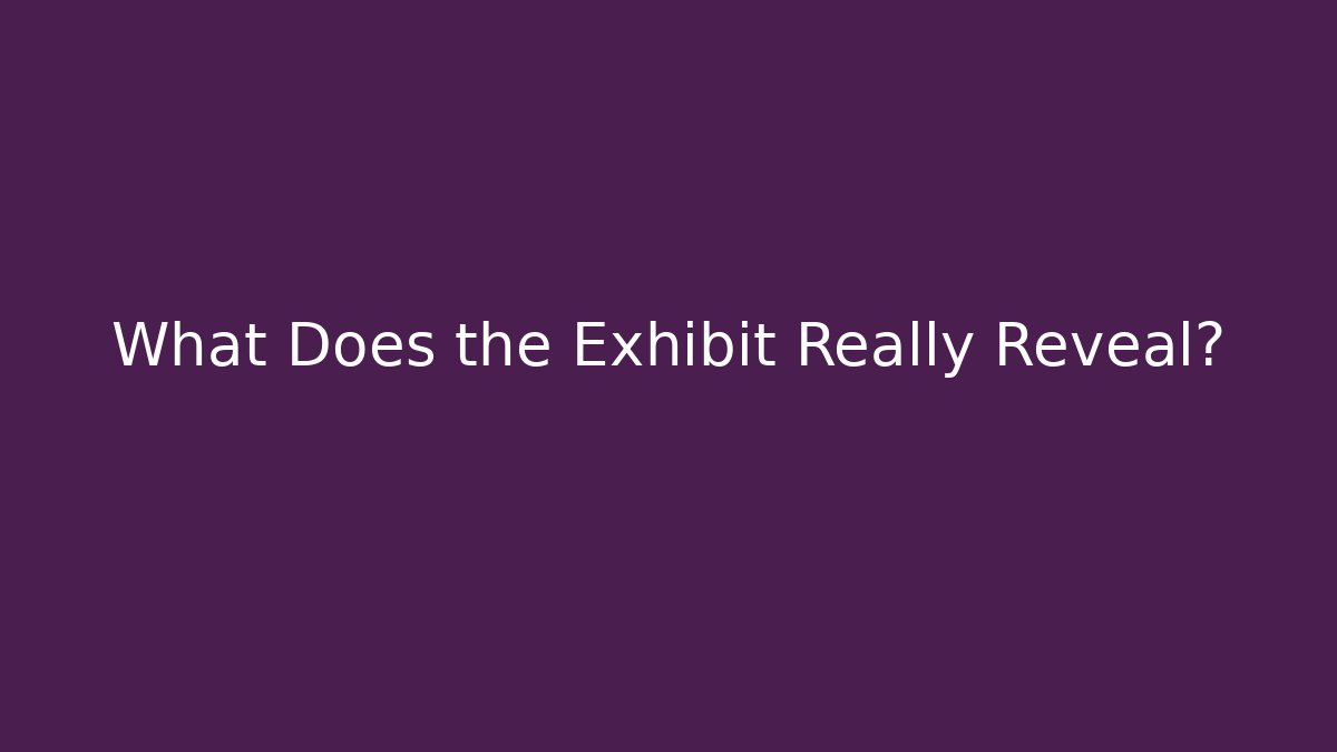 What Does the Exhibit Really Reveal?