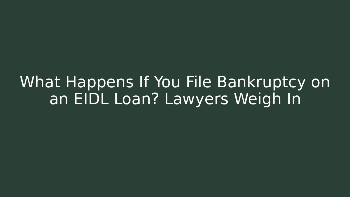 What Happens If You File Bankruptcy on an EIDL Loan? Lawyers Weigh In