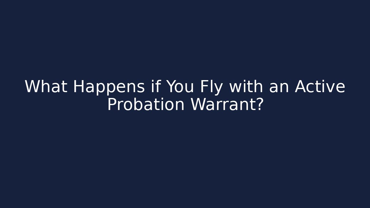 What Happens if You Fly with an Active Probation Warrant? - V Auction