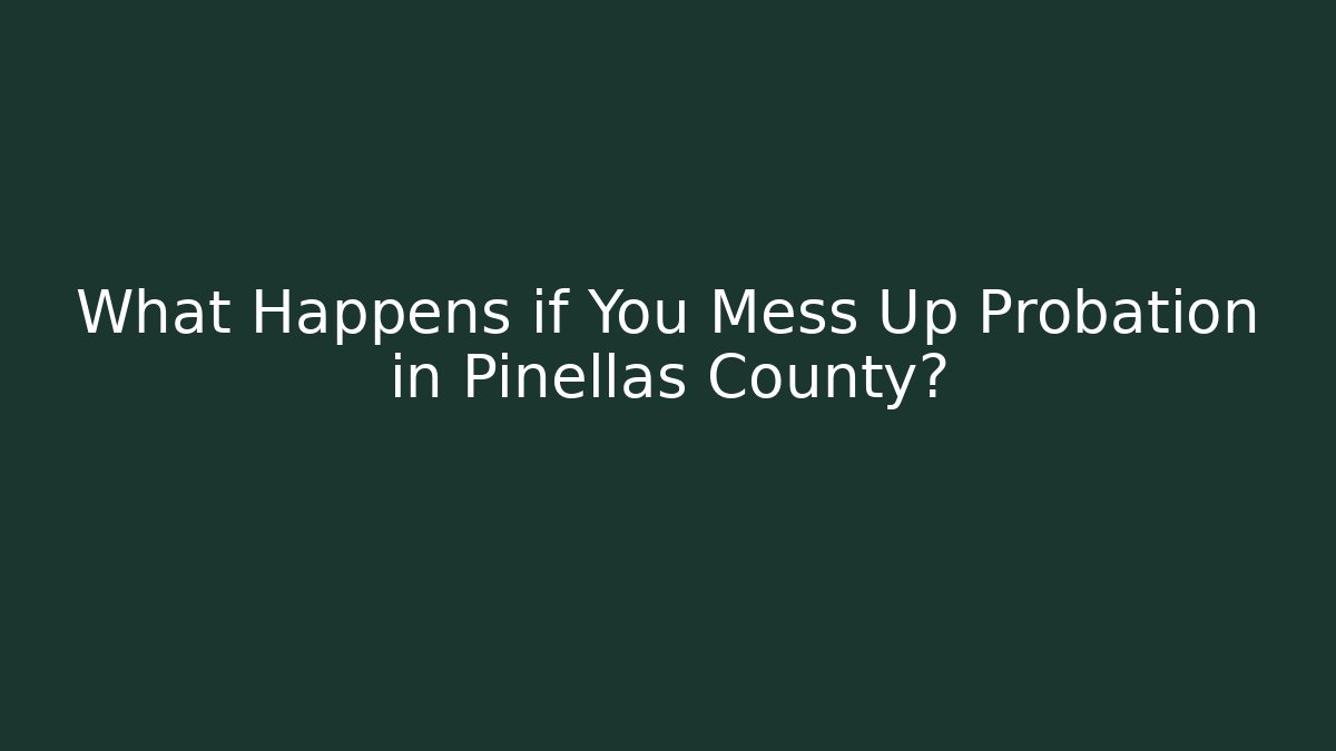 What Happens if You Mess Up Probation in Pinellas County? - V Auction