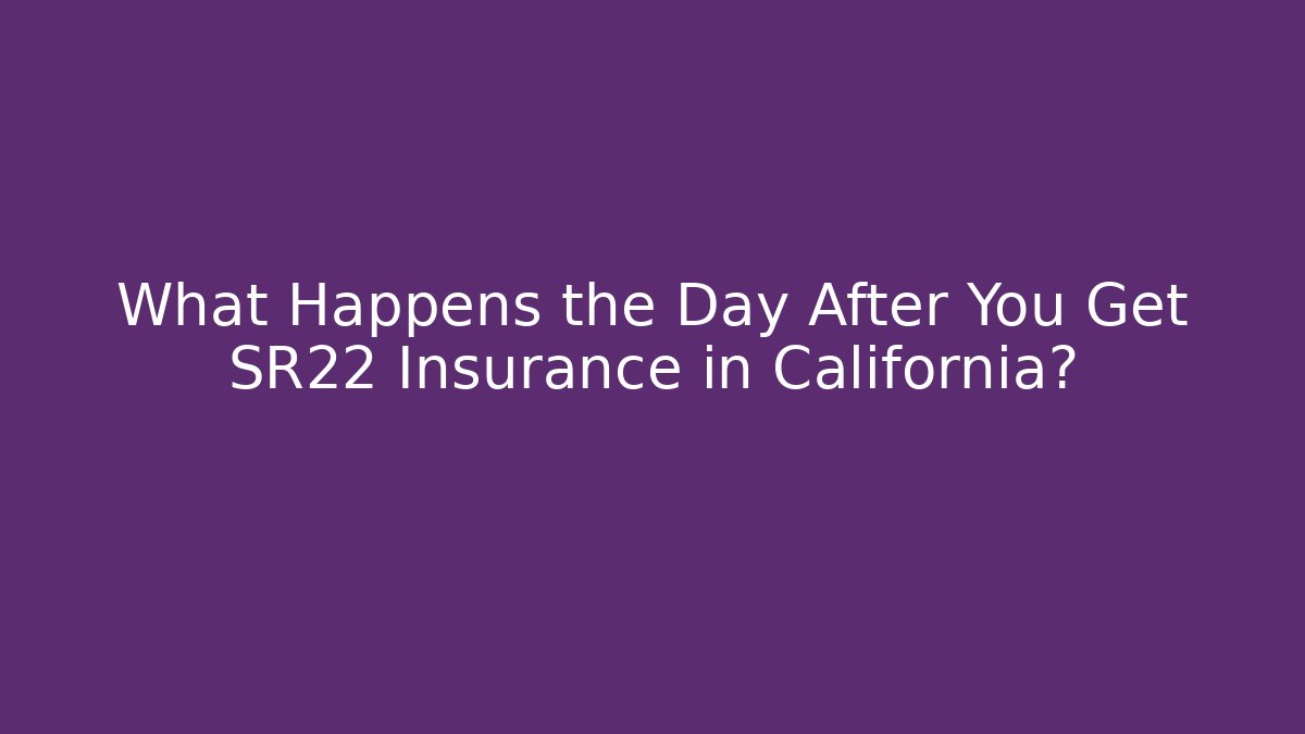 What Happens the Day After You Get SR22 Insurance in California?