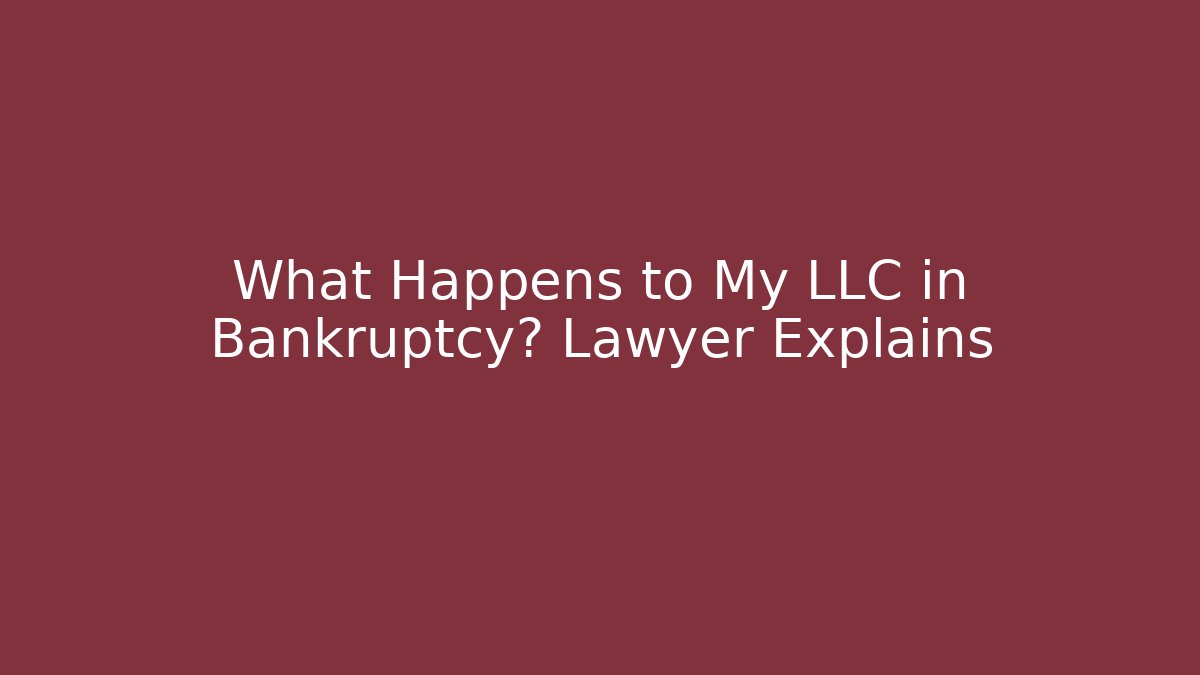 What Happens to My LLC in Bankruptcy? Lawyer Explains