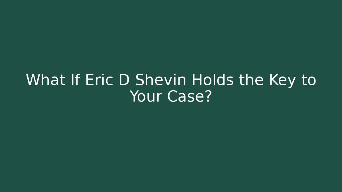 What If Eric D Shevin Holds the Key to Your Case? - V Auction